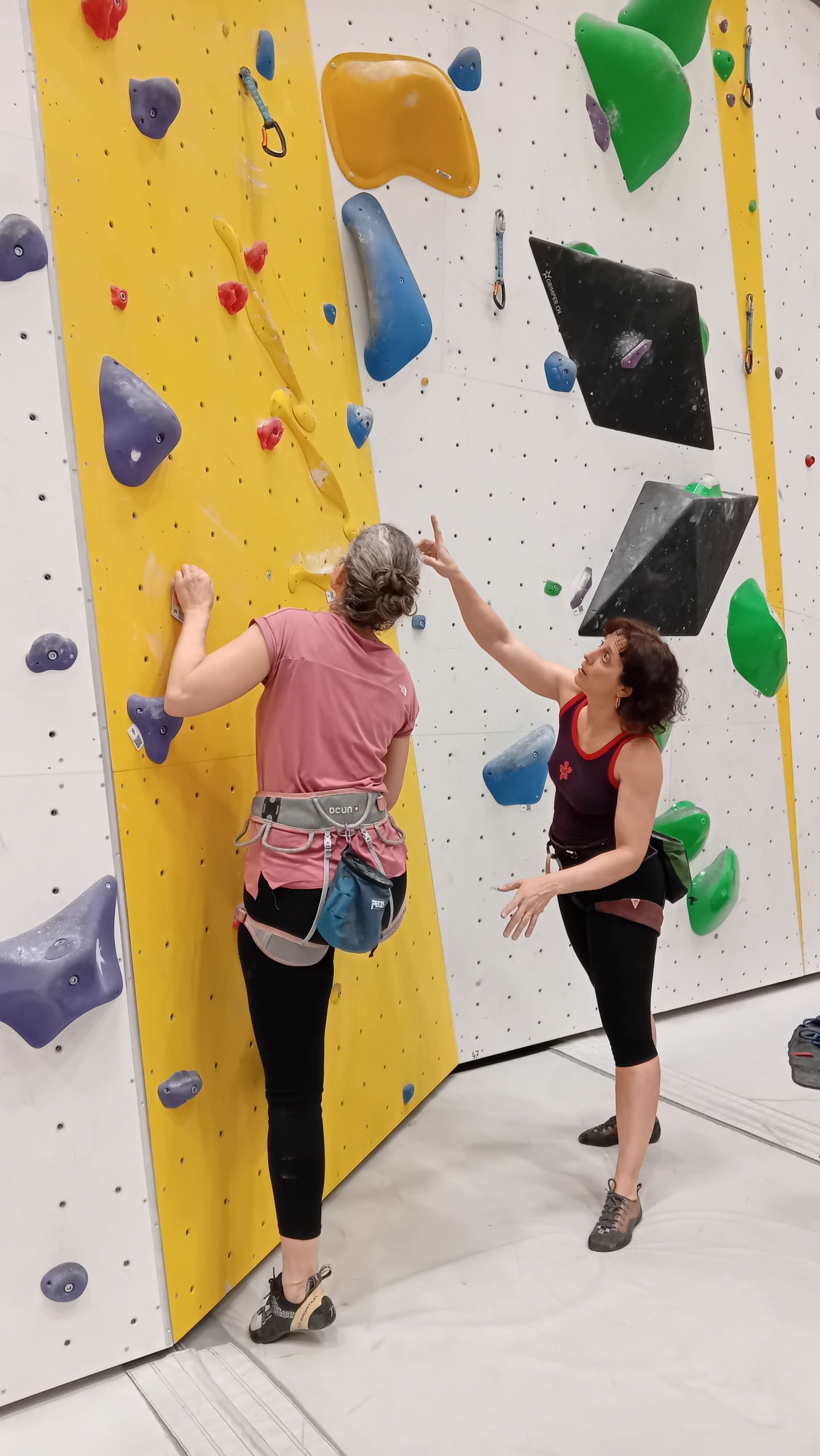 Stage escalade et mouvement